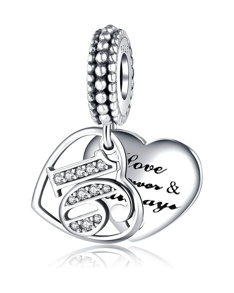 Number Years of Love Heart Dreamcatcher Charm 925 Sterling Silver Bead for Charm Bracelets and Necklaces with 5A Cubic Zircon...