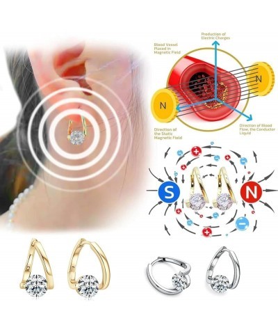 Susumz Earrings, Susumz Lymphvity Magnetictherapy Germanium Earrings, Lymphatic Earrings for Women Mix $11.75 Earrings