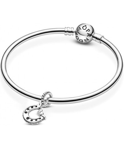 Good Luck Horseshoe Charm $20.19 Bracelets