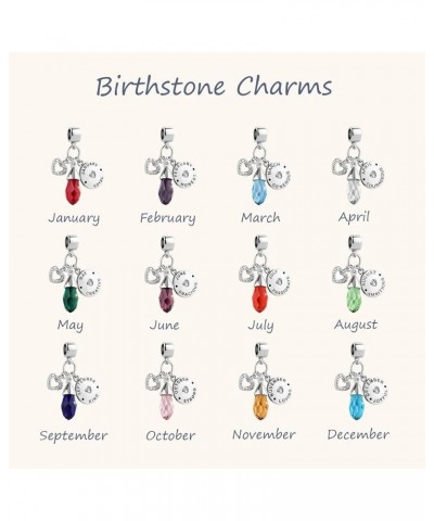 12 Teardrop Birthday Birthstone Charms for Bracelets Dangle Charm Beads Compatible with Pandora Bracelets December Birthstone...