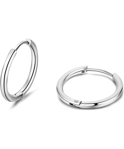 Small Hoop Earrings Surgical Steel Tiny Hoop Earrings Set for Women Men Cartilage Helix Lobes Hinged Sleeper Earrings Hoop - ...