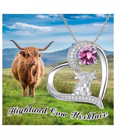 Highland Cow Gifts for Women Sterling Silver Highland Cow Jewelry Necklace/Anklets/Charm for Bracelet Birthstone Highland Cow...