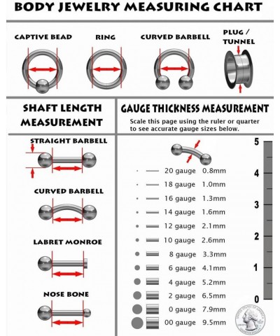 Amelia Fashion 16 Gauge Puppy Paw Print Externally Threaded Labret/Monroe/Ear Cartilage Stud 316L Surgical Steel (Steel) $9.4...