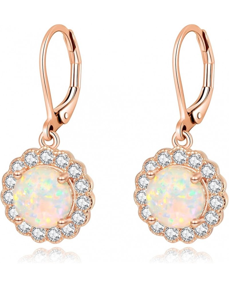 Leverback Opal Dangle Drop Earrings For Women Girls 14K Gold Plated Teardrop Earrings Rose gold-white Opal $11.19 Earrings