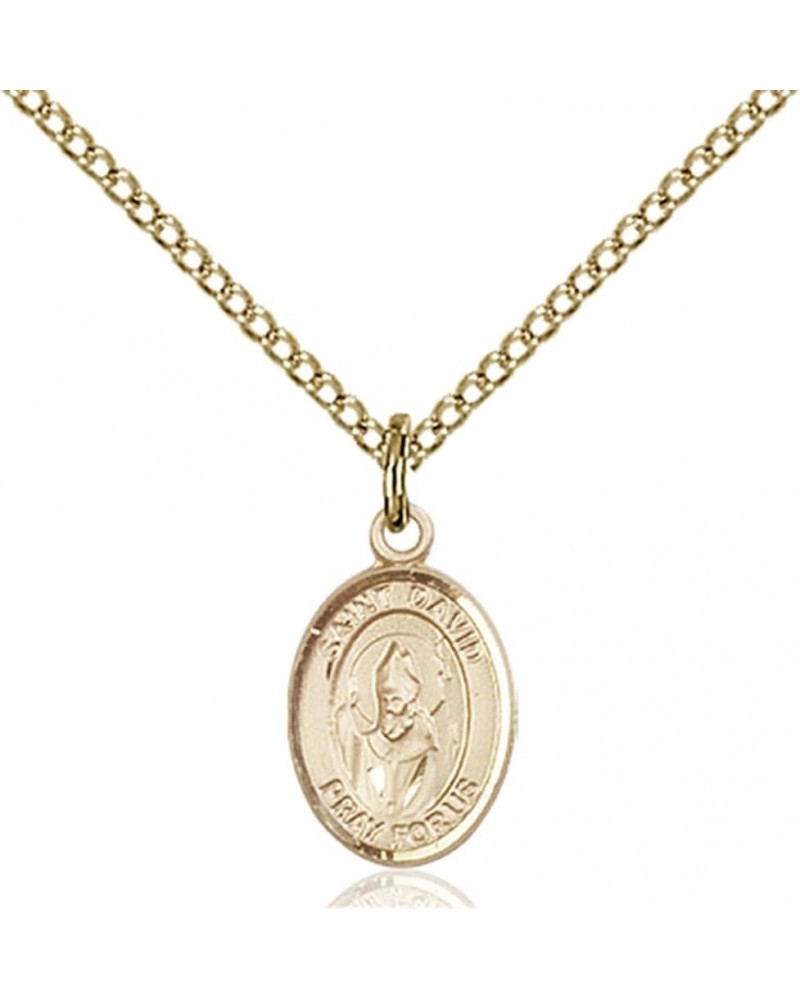 14KT Gold Filled Catholic Patron Saint Petite Charm Medal, 1/2 Inch Saint David of Wales $42.50 Pendants