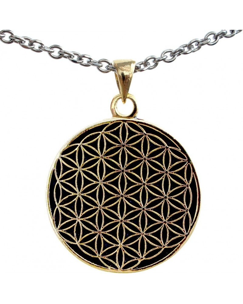 Pagan Flower of life Gold plated pewter pendant charm amulet W Necklace (Stainless Steel Chain) $8.09 Necklaces