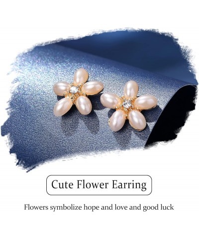 12 Pairs Stud Earring for Women, Diverse Colorful Hypoallergenic Cubic Zirconia Pearl Heart Flower Earrings Set for Multiple ...